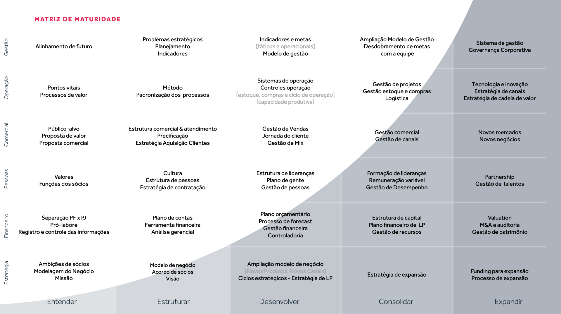 Matriz de Maturidade de Gestão da 4CINCO com seis pilares e cinco níveis